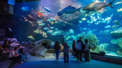 cox science center and aquarium