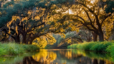 hugh taylor birch state park